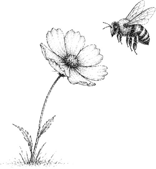 bee fable illustration