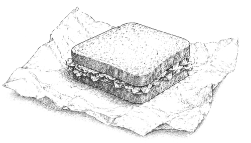 sandwich fable illustration