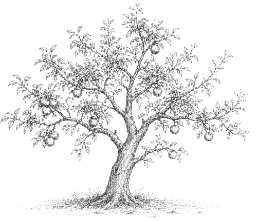 tree fable illustration