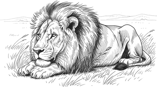 lion fable illustration